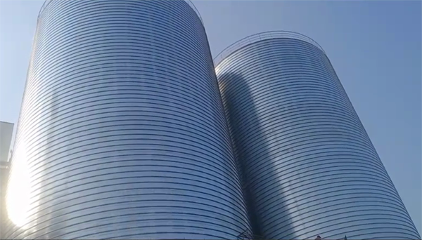 沙雅2座混凝土高架卷板仓